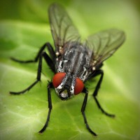 /album/chudova-fizika9/photolia-a01-jpg/