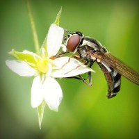 /album/chudova-fizika9/photolia-a02-jpg/