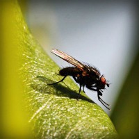 /album/chudova-fizika9/photolia-a04-jpg/