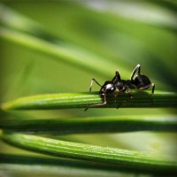 /album/chudova-fizika9/photolia-a05-jpg/