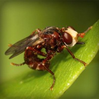 /album/chudova-fizika9/photolia-a06-jpg/