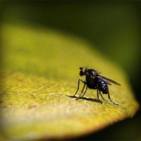 /album/chudova-fizika9/photolia-a07-jpg/