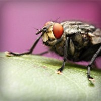 /album/chudova-fizika9/photolia-a08-jpg/